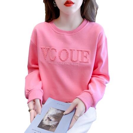 FA54527# 秋季牙刷绣圆领卫衣女设计感宽松韩版字母绣花上衣  服裝批發女裝批發服飾貨源