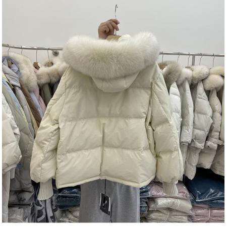 FA54597# 秋冬韩版宽松羽绒棉服女短款小个子狐狸大毛领棉衣加厚外套  服裝批發女裝批發服飾貨源