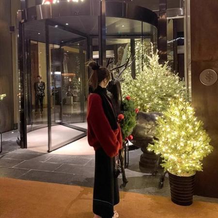 FA55039# 咖色高级感V领水貂绒毛衣女秋冬季慵懒风宽松打底软糯针织衫上衣 服裝批發女裝批發服飾貨源