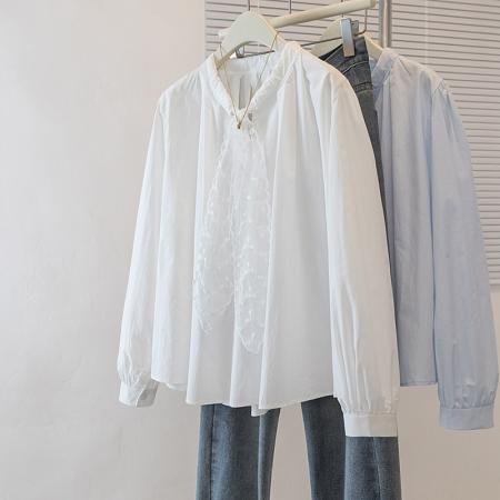 FA55076# 大码春季女装新款韩版高级感潮流设计感显瘦修身微透衬衫上衣 服裝批發女裝批發服飾貨源