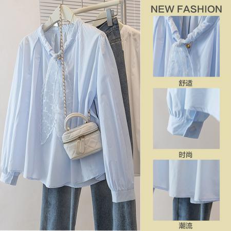 FA55076# 大码春季女装新款韩版高级感潮流设计感显瘦修身微透衬衫上衣 服裝批發女裝批發服飾貨源