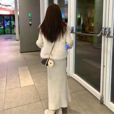 FA55717# 韩风chic气质套装环保皮草马甲内搭连衣裙两件套 服裝批發女裝批發服飾貨源