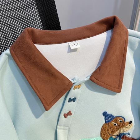 FA55765# 薄款卫衣女装设计感潮新款春秋季刺绣花宽松撞色POLO上衣 服裝批發女裝批發服飾貨源