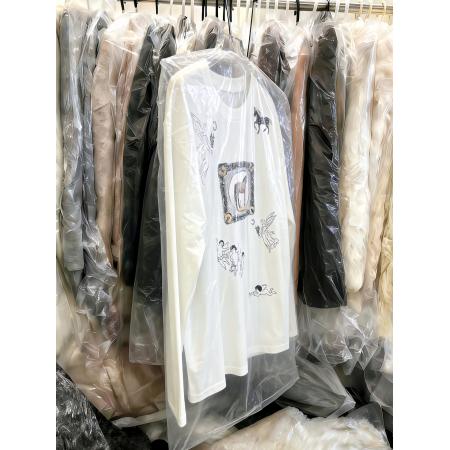 FA56771# 韩版时尚百搭显瘦圆领宽松百搭长袖T恤女上衣新年打底衫  服裝批發女裝批發服飾貨源