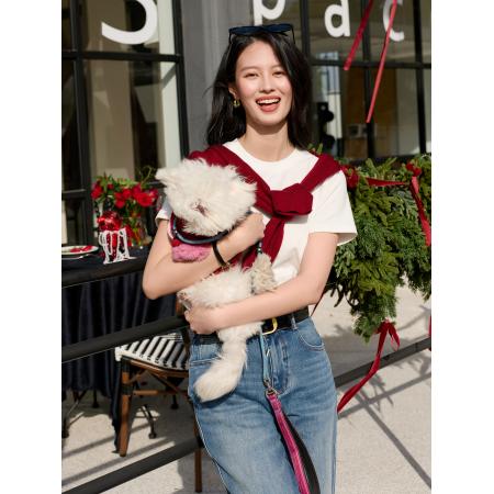 春季新款小马刺绣基础磨毛小白T恤休闲正肩短袖上衣女S 服裝批發女裝批發服飾貨源