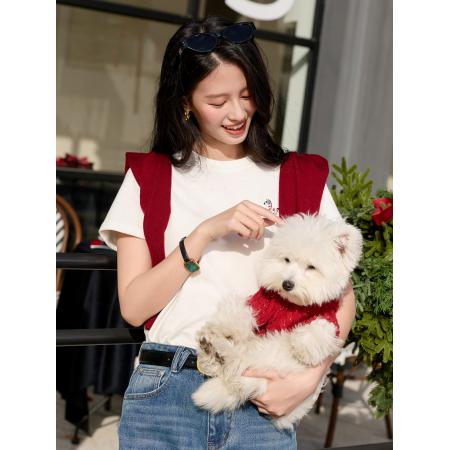 春季新款小马刺绣基础磨毛小白T恤休闲正肩短袖上衣女S 服裝批發女裝批發服飾貨源