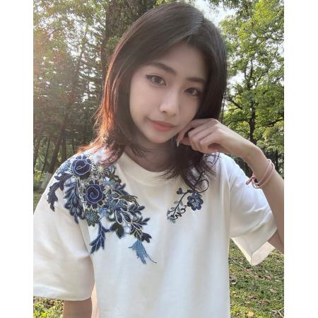 BY13622# 原版辅料纯棉精梳紧密短袖t恤女  服裝批發女裝批發服飾貨源