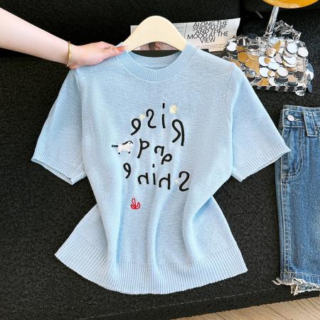 BY15925# 夏季新款时尚洋气刺绣圆领针织衫T恤女休闲百搭宽松减龄上衣 服裝批發女裝批發服飾貨源