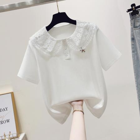 BY16511# 夏季新款学院风蕾丝娃娃领小马刺绣百搭短袖T恤  服裝批發女裝批發服飾貨源