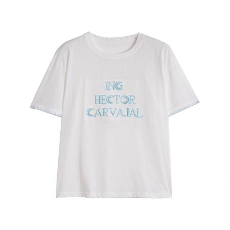 BY16583# 短袖t恤女夏季新款凉感雪花棉设计感小个子休闲显瘦上衣  服裝批發女裝批發服飾貨源