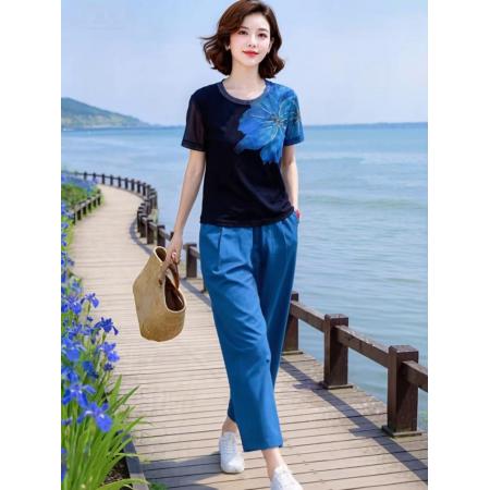 BY19282# 简约艺术洋气网纱印花上衣+牛筋腰九分裤套装 服裝批發女裝批發服飾貨源