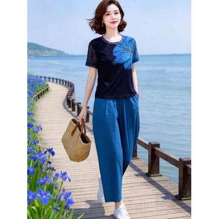 BY19282# 简约艺术洋气网纱印花上衣+牛筋腰九分裤套装 服裝批發女裝批發服飾貨源