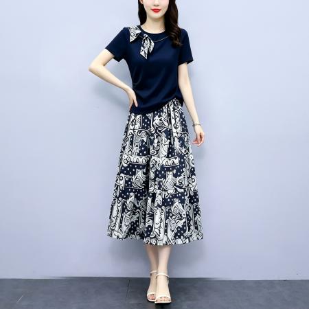 新款两件套裙子收腰显瘦装连衣裙女 服裝批發女裝批發服飾貨源