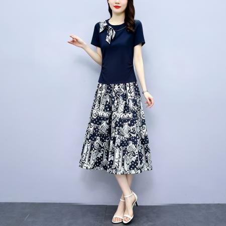 新款两件套裙子收腰显瘦装连衣裙女 服裝批發女裝批發服飾貨源
